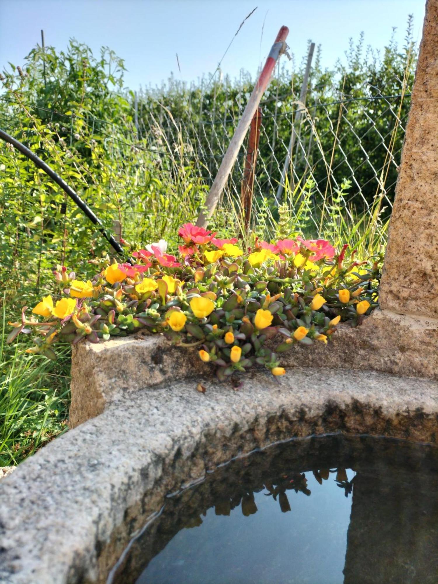 I Girasoli Sanzeno Exteriér fotografie