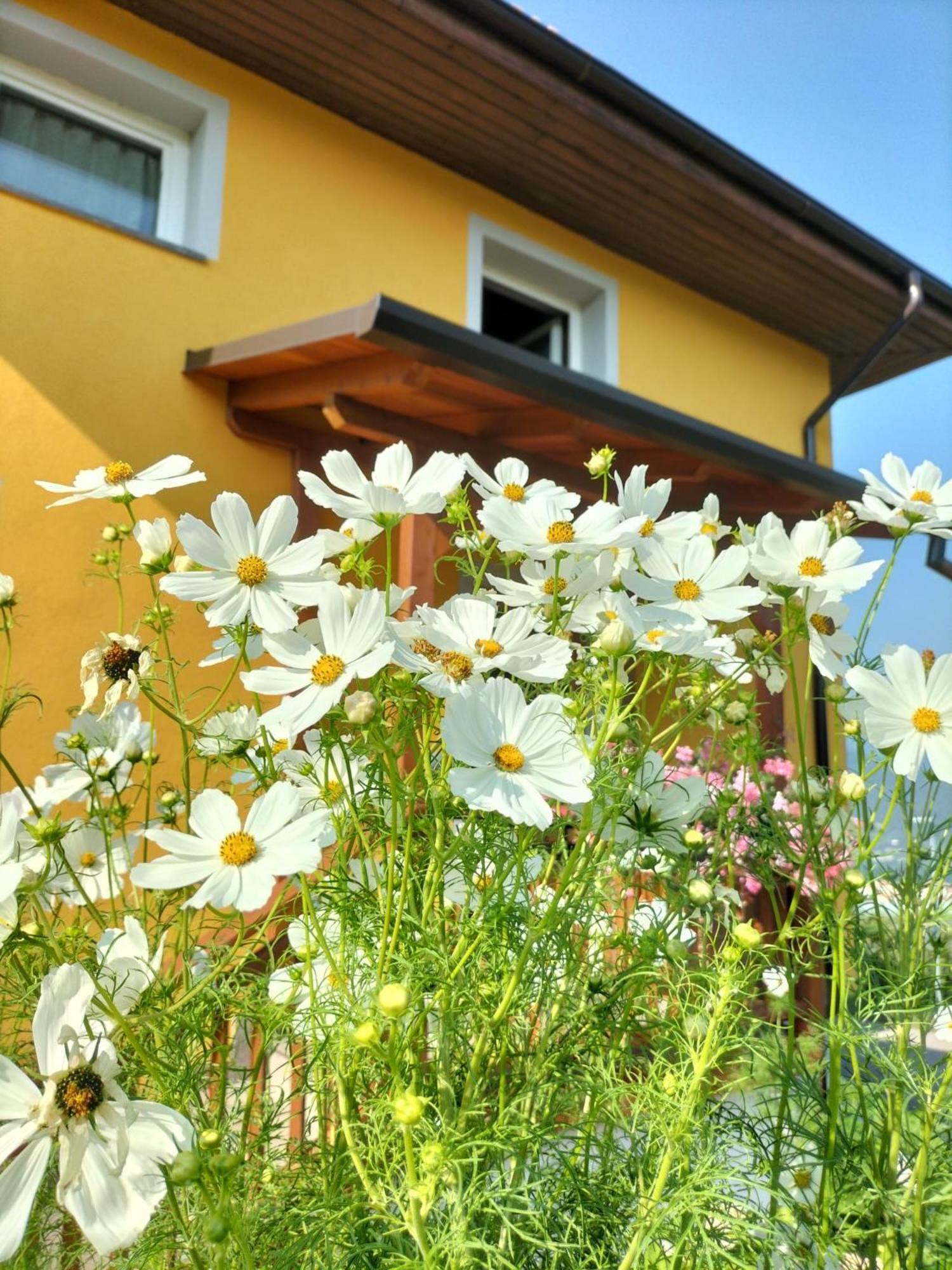 I Girasoli Sanzeno Exteriér fotografie